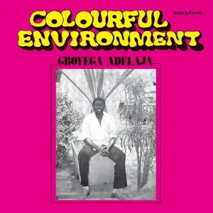 Pochette de Colourful Environment de Gboyega Adelaja