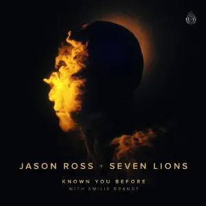 Pochette de Known You Before de Jason Ross - Seven Lions