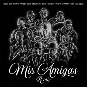 Pochette de Mis amigas (remix) de Wisin - Brray - Ñejo - Maldy - Ñengo Flow - Jory Boy - Zion - Gotay el Auténtiko - Luigi 21 Plus