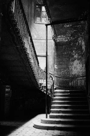Pochette de In the Ascent at the Bottom de Scott Lawlor