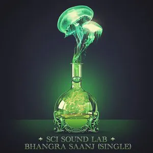 Pochette de Bhangra Saanj de Beats Antique - The String Cheese Incident
