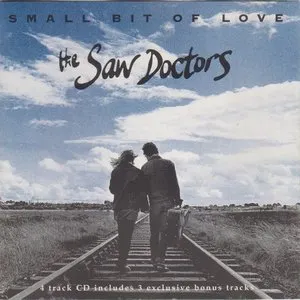 Pochette de Small Bit of Love de The Saw Doctors