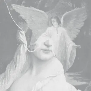 Pochette de Your Soft Absence de øjeRum
