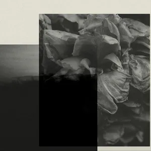 Pochette de Apologia de Sajama Cut