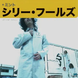 Pochette de Mint de Silly Fools