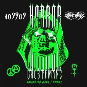 Pochette de Twist of Fate/ Cobra de Ho99o9