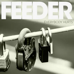 Pochette de Everybody Hurts de Feeder