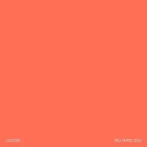 Pochette de Ted Tapes 2021 de Goose