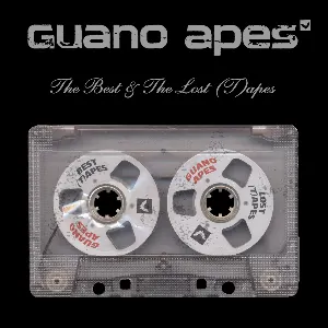 Pochette The Best & The Lost (T)apes