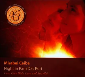 Pochette de Night in Ram Das Puri de Mirabai Ceiba