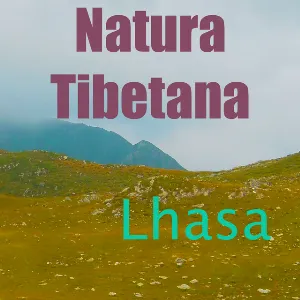 Pochette Natura Tibetana