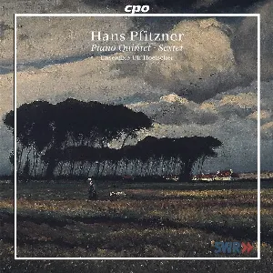 Pochette de Piano Quintet / Sextet de Hans Pfitzner