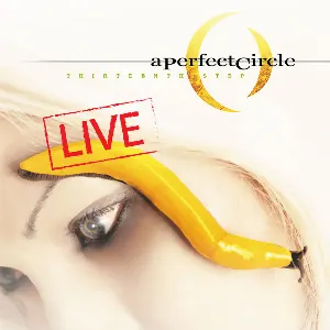 Pochette Thirteenth Step: Live