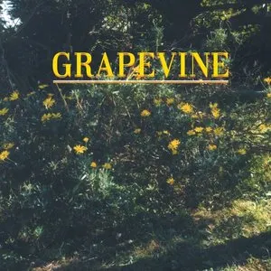 Pochette de 指先/COME ON de GRAPEVINE