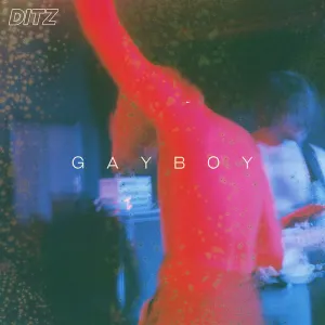Pochette de Gayboy de DITZ