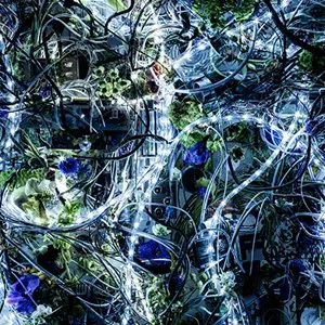 Pochette de ninelie EP de Aimer