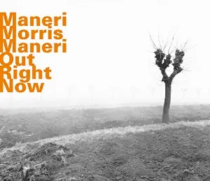 Pochette de Out Right Now de Mat Maneri - Joe Morris
