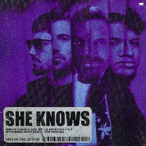 Pochette de She Knows (the remixes) de Akon - David Guetta - Afro Bros - Dimitri Vegas & Like Mike