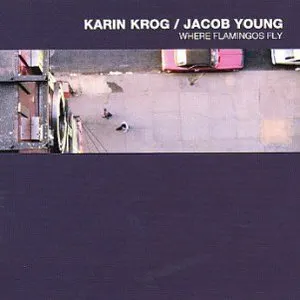 Pochette de Where Flamingos Fly de Karin Krog