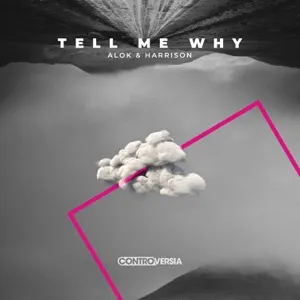 Pochette de Tell Me Why de Alok