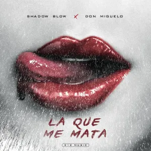 Pochette de La Que Me Mata de Don Miguelo - Shadow Blow