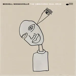 Pochette de Vuma de Meshell Ndegeocello