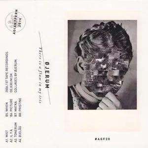 Pochette de There Is a Flaw in My Iris de øjeRum