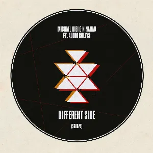 Pochette de Different Side de Audio Bullys