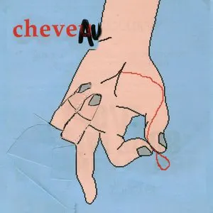 Pochette de Cheveau de Cheveu