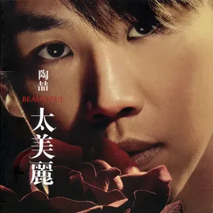Pochette de 太美麗 de David Tao