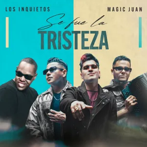 Pochette de Se fue la tristeza de Los Inquietos del Vallenato