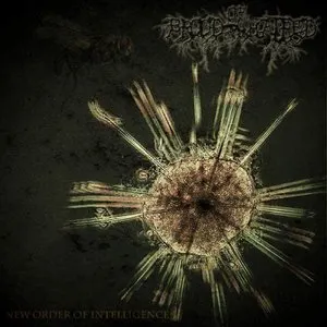 Pochette de New Order of Intelligence de Brood of Hatred