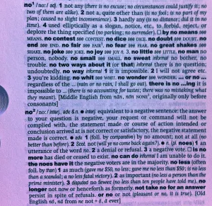 Pochette de No Dictionary de Jordaan Mason