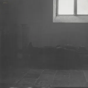 Pochette de Goldberg de Paul Lovens