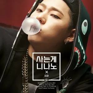 Pochette de 사는게 니나노 de ZICO