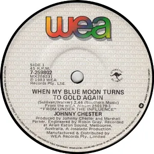 Pochette de When My Blue Moon Turns to Gold Again de Johnny Chester