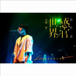 Pochette de 感官/世界音樂會 de Yoga Lin