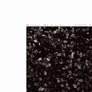 Pochette de Loops 2 de Damien De Coene