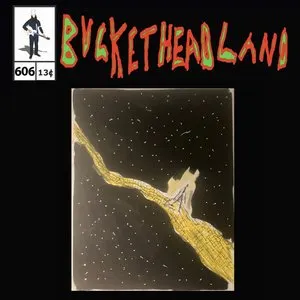 Pochette de Stranger In A Strange Land de Buckethead