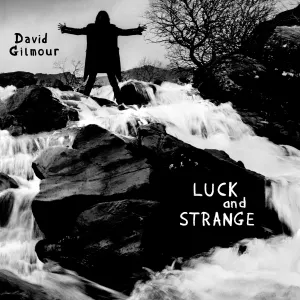 Pochette de Luck and Strange (edit) de David Gilmour