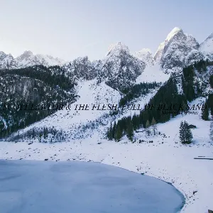 Pochette de Mournful Winter de Scott Lawlor - The Flesh, Full of Black Sand