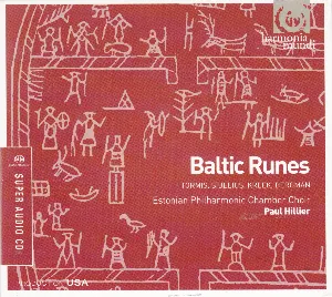 Pochette Baltic Runes