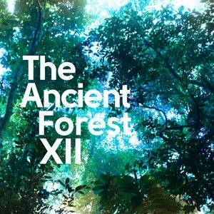 Pochette de The Ancient Forest XII de Chihei Hatakeyama