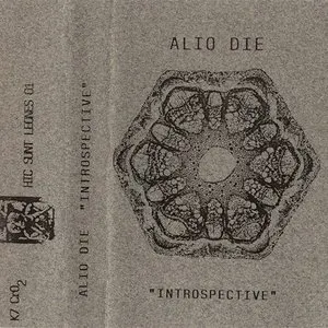 Pochette de Introspective de Alio Die
