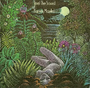 Pochette de Feel the Sound de Harvey Mandel