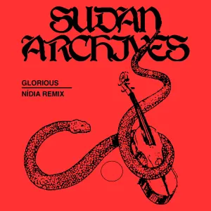 Pochette de Glorious (Nídia remix) de Sudan Archives