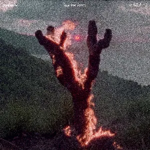Pochette de Last Two Lovers / Untitled #2 de Bonaparte