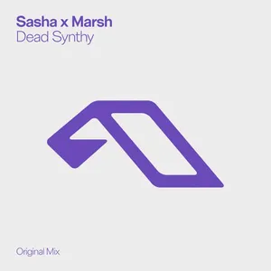 Pochette de Dead Synthy de Sasha