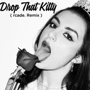 Pochette Drop That Kitty (rcade. Remix)