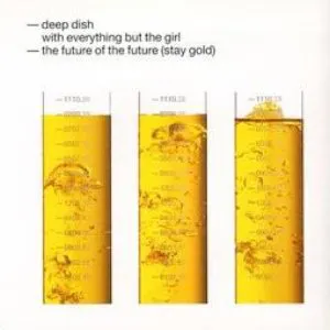 Pochette The Future of the Future (Stay Gold)